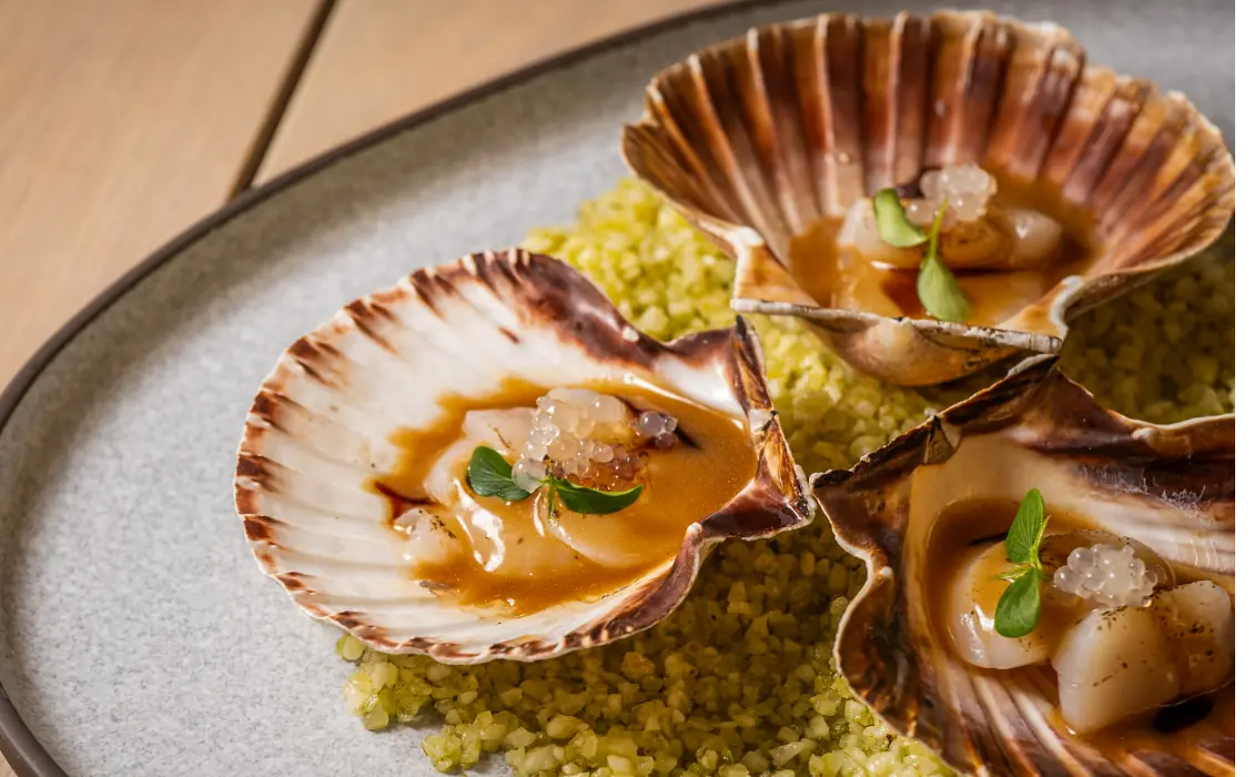Dish on Palazzo Al Mare