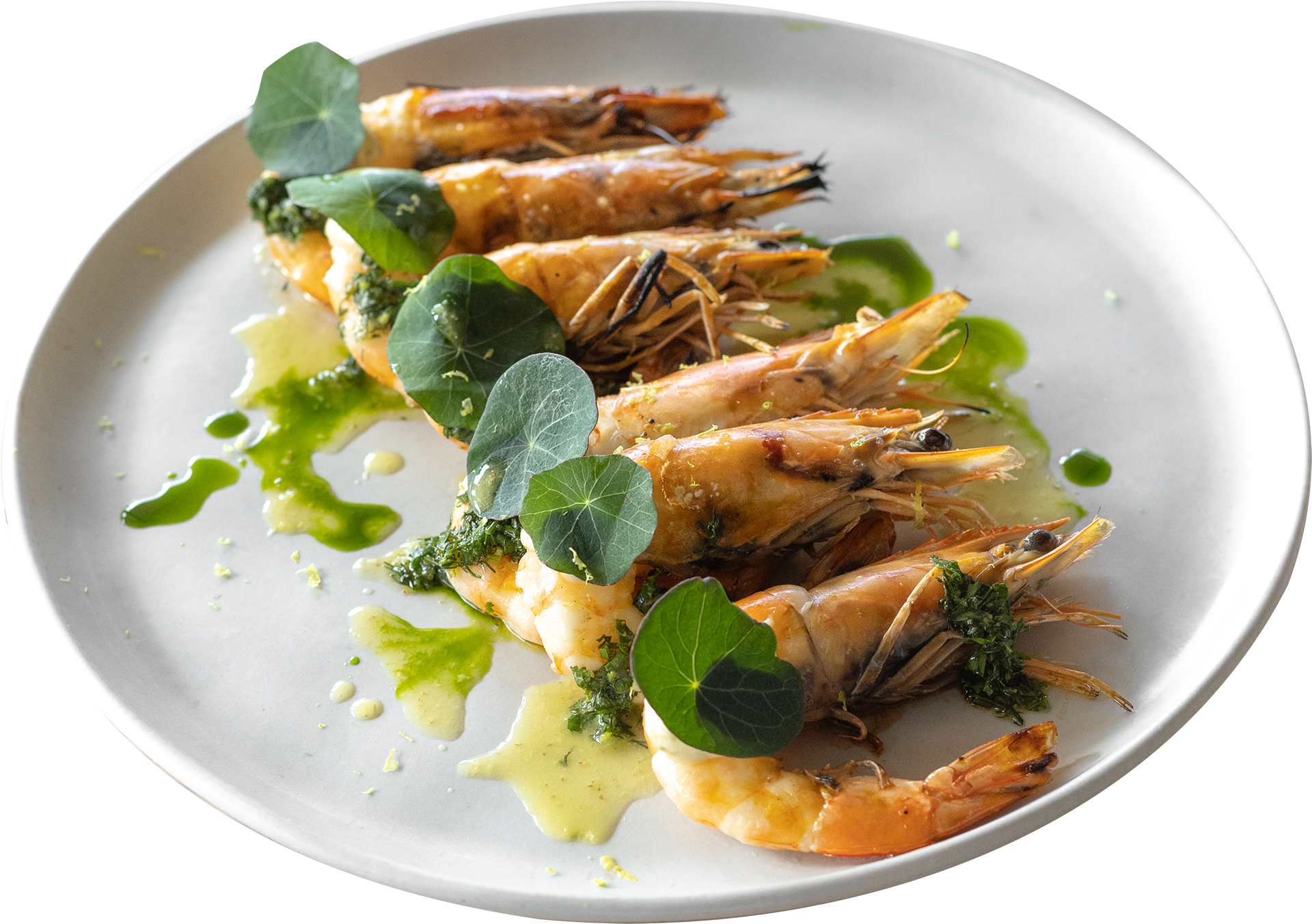 shrimps